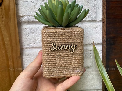 Chậu sen đá vuông quấn dây thừng để bàn [Nhiều kiểu] CHAUCAYGIA-20